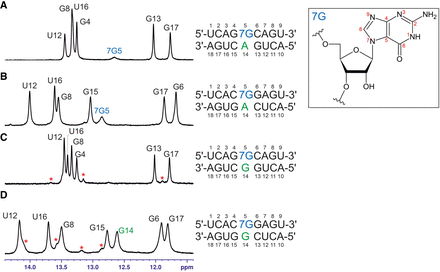 FIGURE 2.