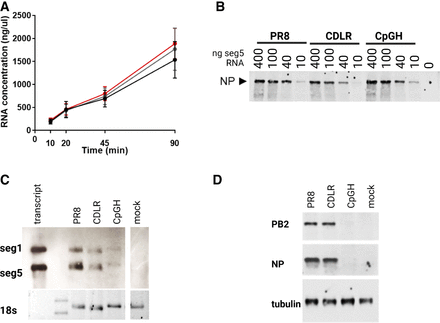 FIGURE 3.