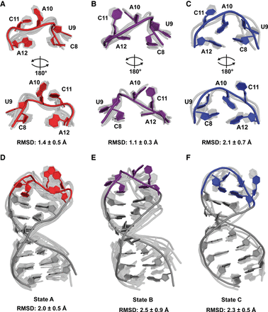 FIGURE 6.