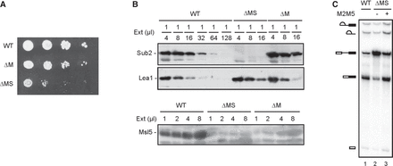 FIGURE 2.