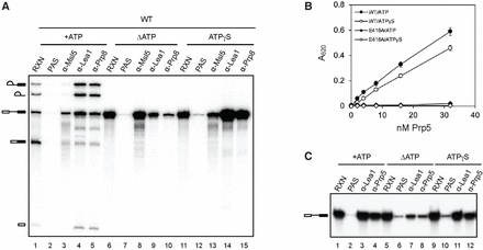FIGURE 5.