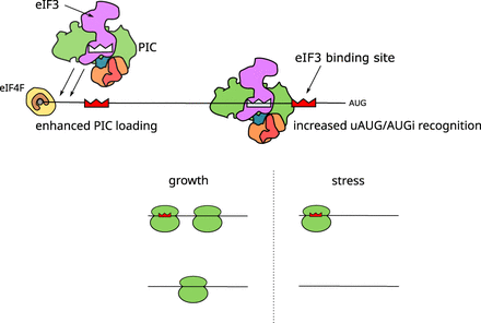 FIGURE 5.