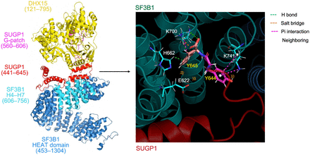 FIGURE 3.