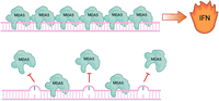 FIGURE 2.