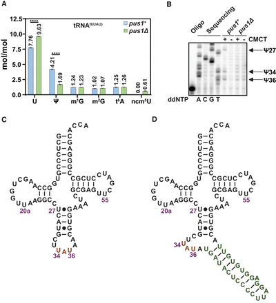FIGURE 4.