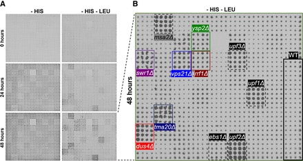 FIGURE 3.
