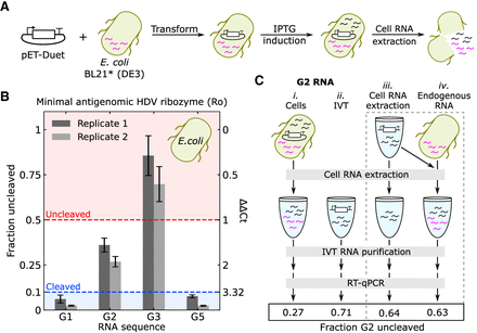 FIGURE 4.