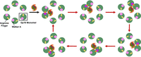 FIGURE 1.