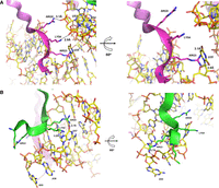 FIGURE 10.
