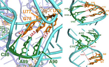 FIGURE 11.