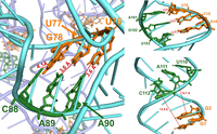 FIGURE 11.