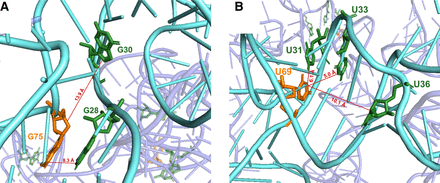 FIGURE 12.