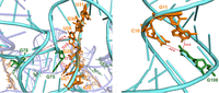 FIGURE 13.