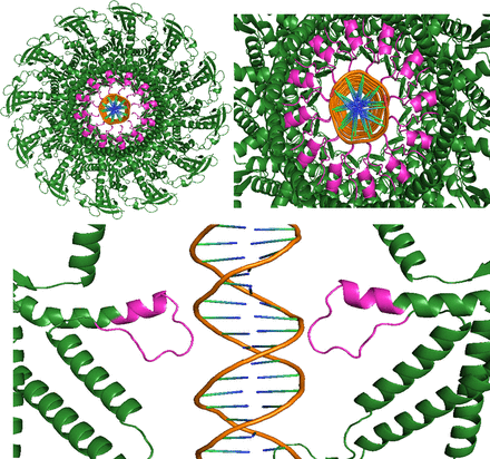 FIGURE 14.