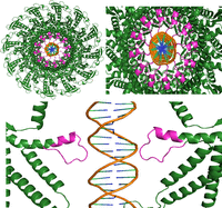 FIGURE 14.