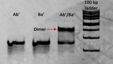 FIGURE 3.