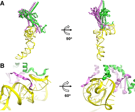 FIGURE 9.