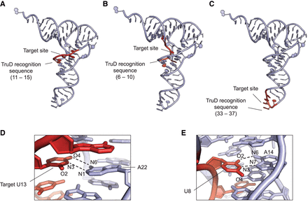 FIGURE 9.