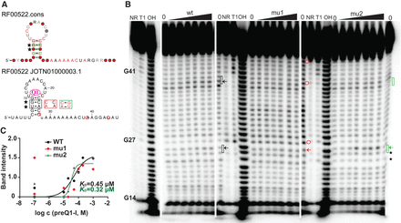FIGURE 4.