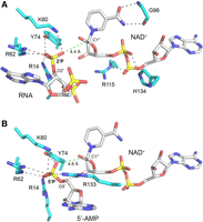 FIGURE 3.