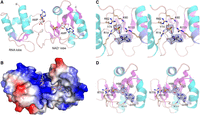 FIGURE 4.