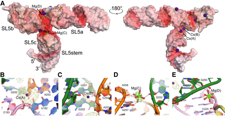 FIGURE 2.