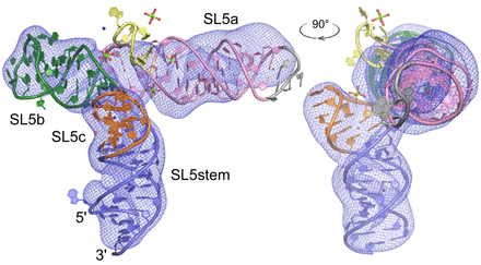 FIGURE 4.