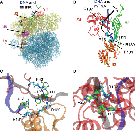FIGURE 6.
