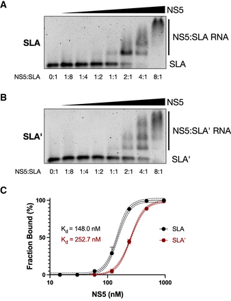 FIGURE 4.
