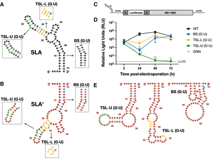 FIGURE 6.