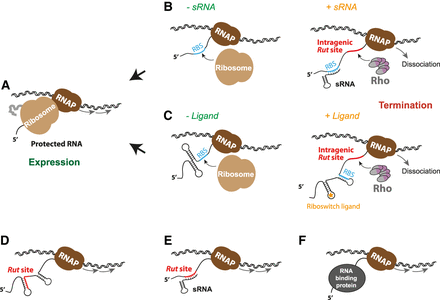 FIGURE 4.