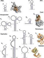 FIGURE 1.