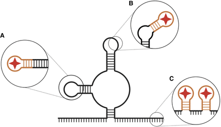 FIGURE 4.