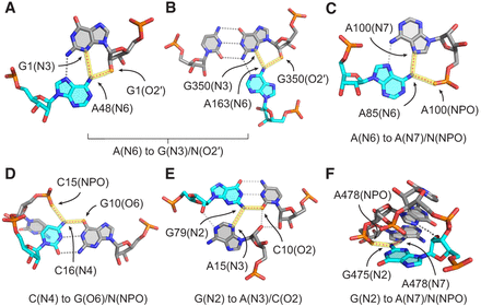 FIGURE 5.