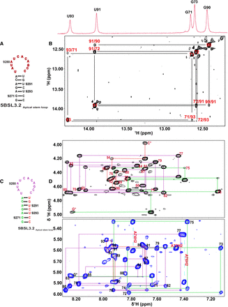 FIGURE 4.