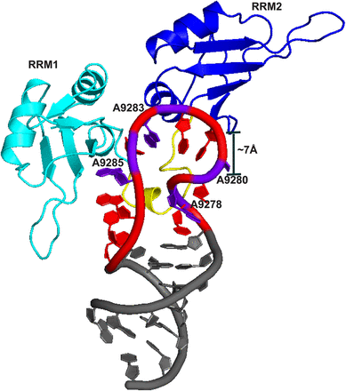 FIGURE 7.