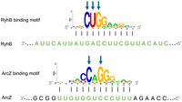 FIGURE 1.