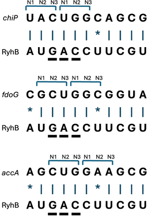 FIGURE 2.