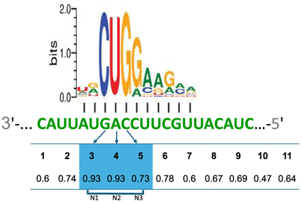 FIGURE 9.