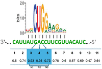 FIGURE 9.
