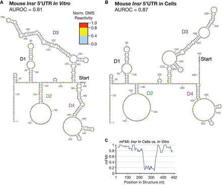 FIGURE 4.