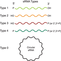 FIGURE 1.