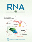 Current Issue