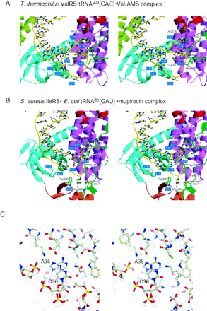 FIGURE 3.