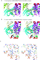 FIGURE 3.