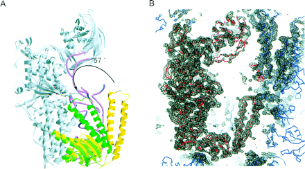 FIGURE 7.