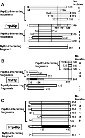 FIGURE 1.