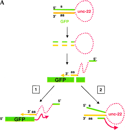 FIGURE 4.