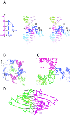 FIGURE 2.