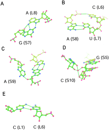 FIGURE 3.